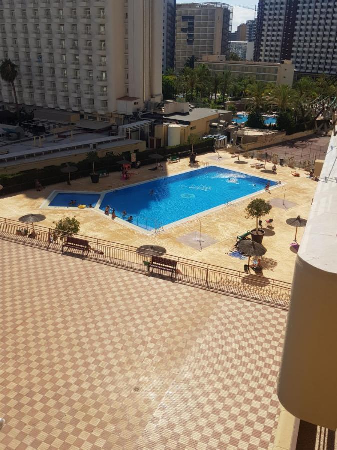 Acuarium 3-Fincas Benidorm Esterno foto